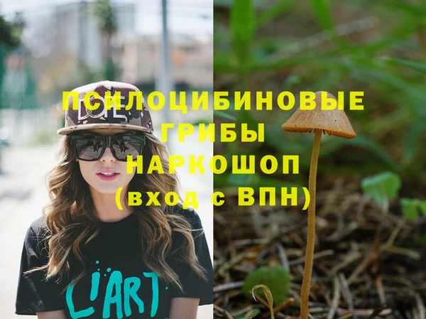 МДПВ Алексеевка